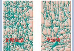 儿童95视频激情在线观看APP厂家科普运动可以有效促进儿童智力发育