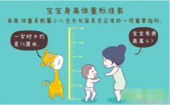 超声波95视频A片免费网站正确测量方法标准身高体