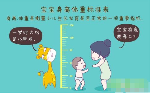 超声波95视频A片免费网站正确测量方法标准身高体重表 超声波95视频A片免费网站正确测量方法标准身高体重表